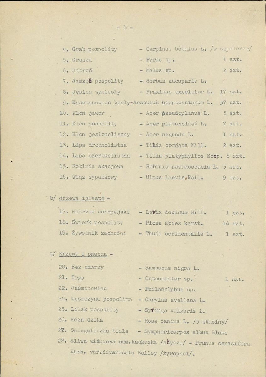 Ewidencja parkowa, skan nr 13