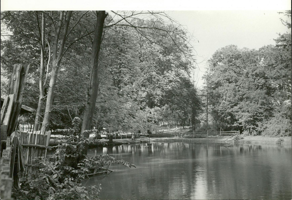 Ewidencja parkowa, skan nr 26