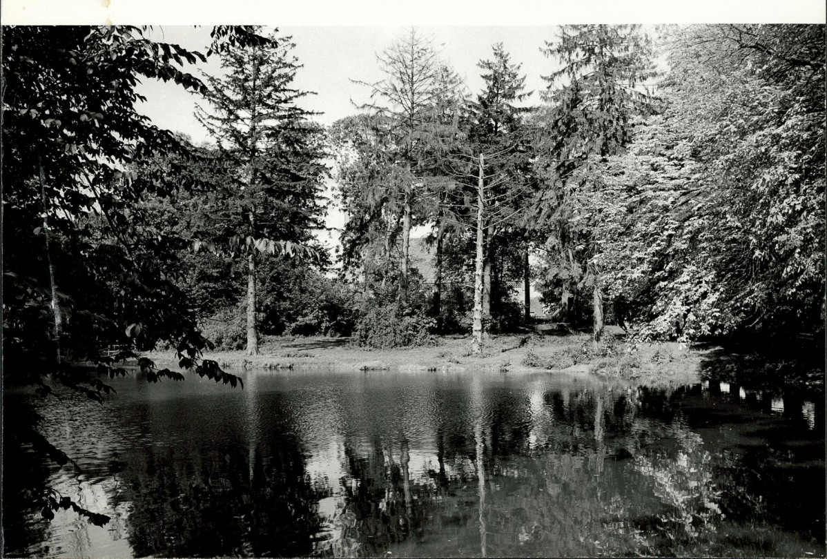 Ewidencja parkowa, skan nr 28