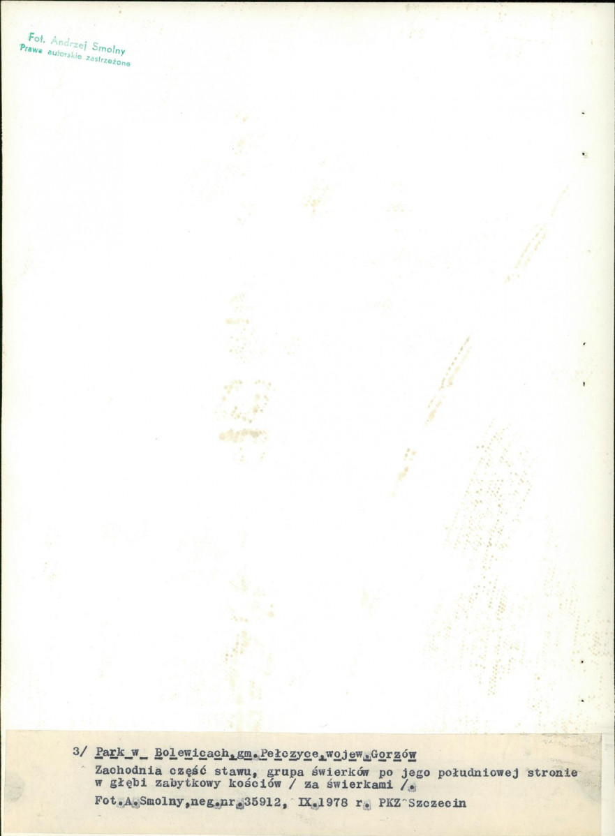 Ewidencja parkowa, skan nr 29