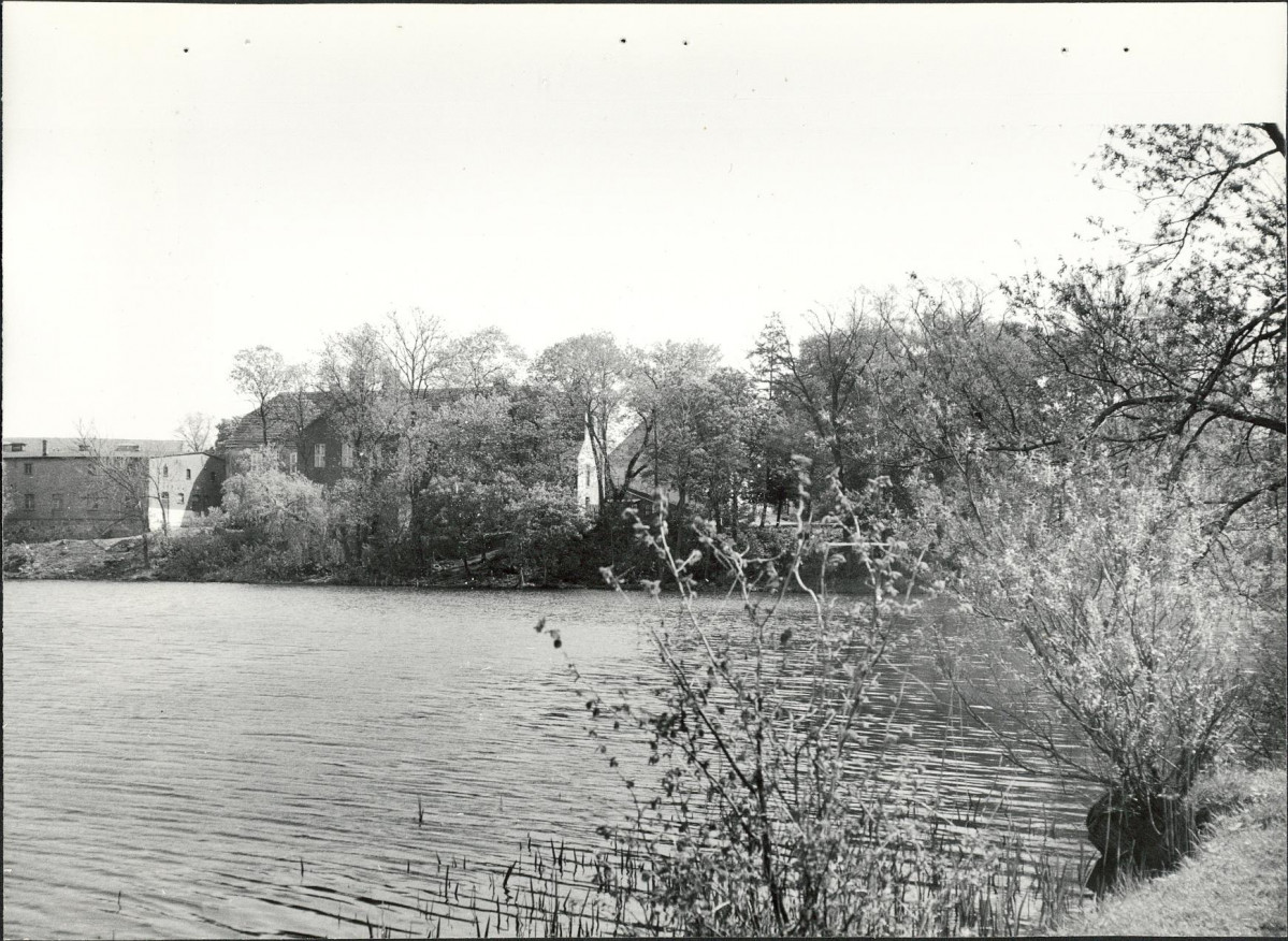 Ewidencja parkowa, skan nr 31