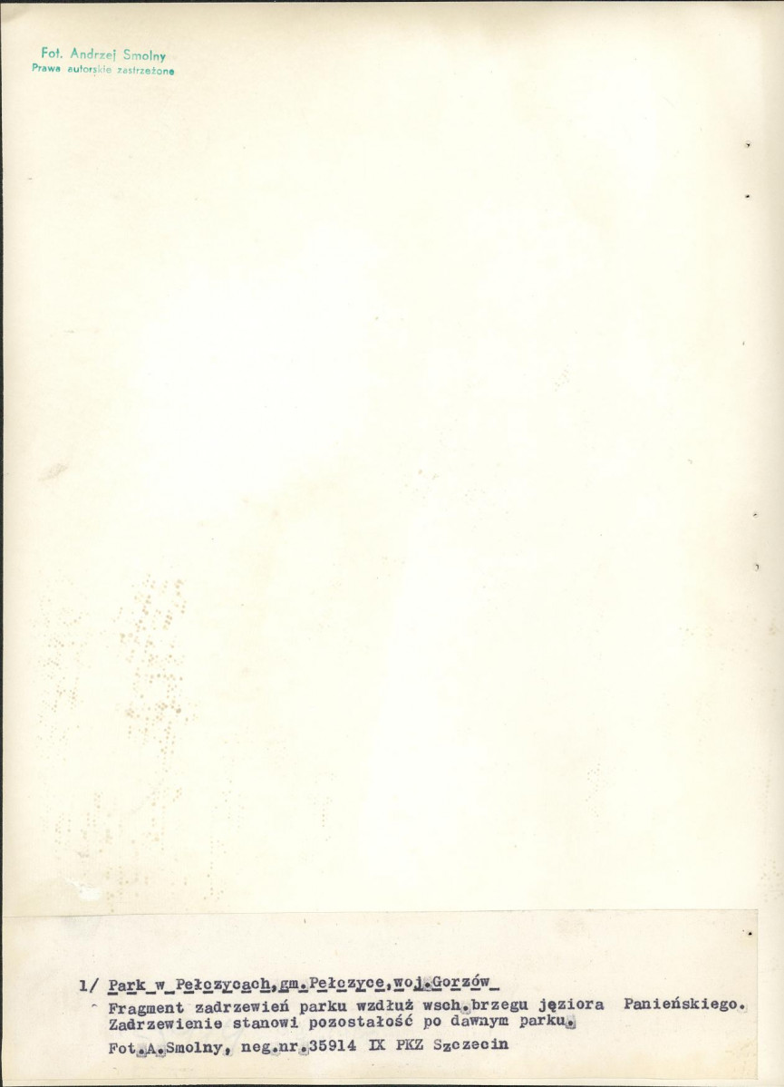 Ewidencja parkowa, skan nr 34