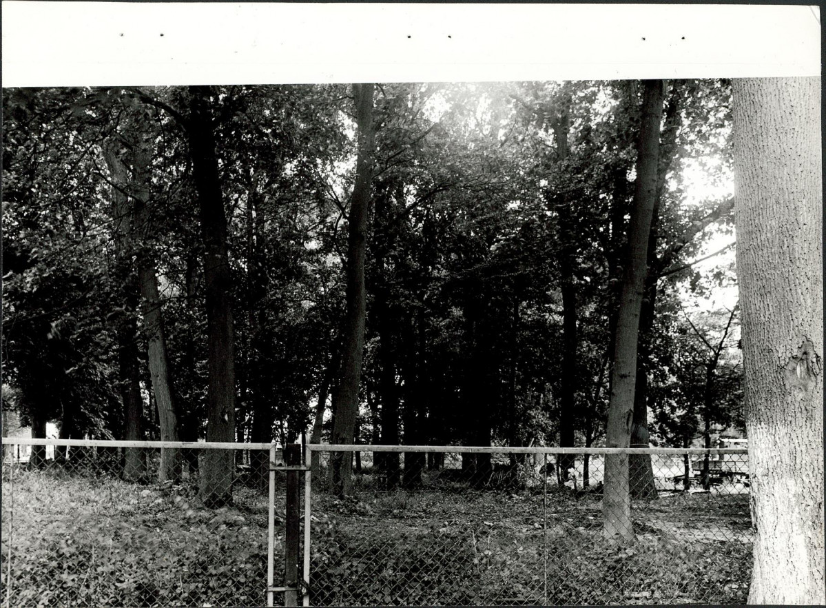 Ewidencja parkowa, skan nr 20