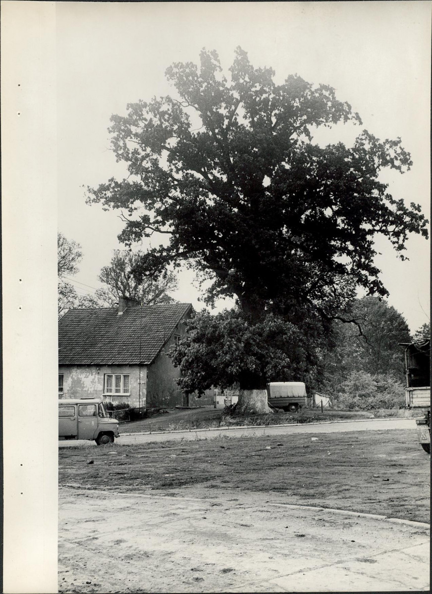 Ewidencja parkowa, skan nr 22