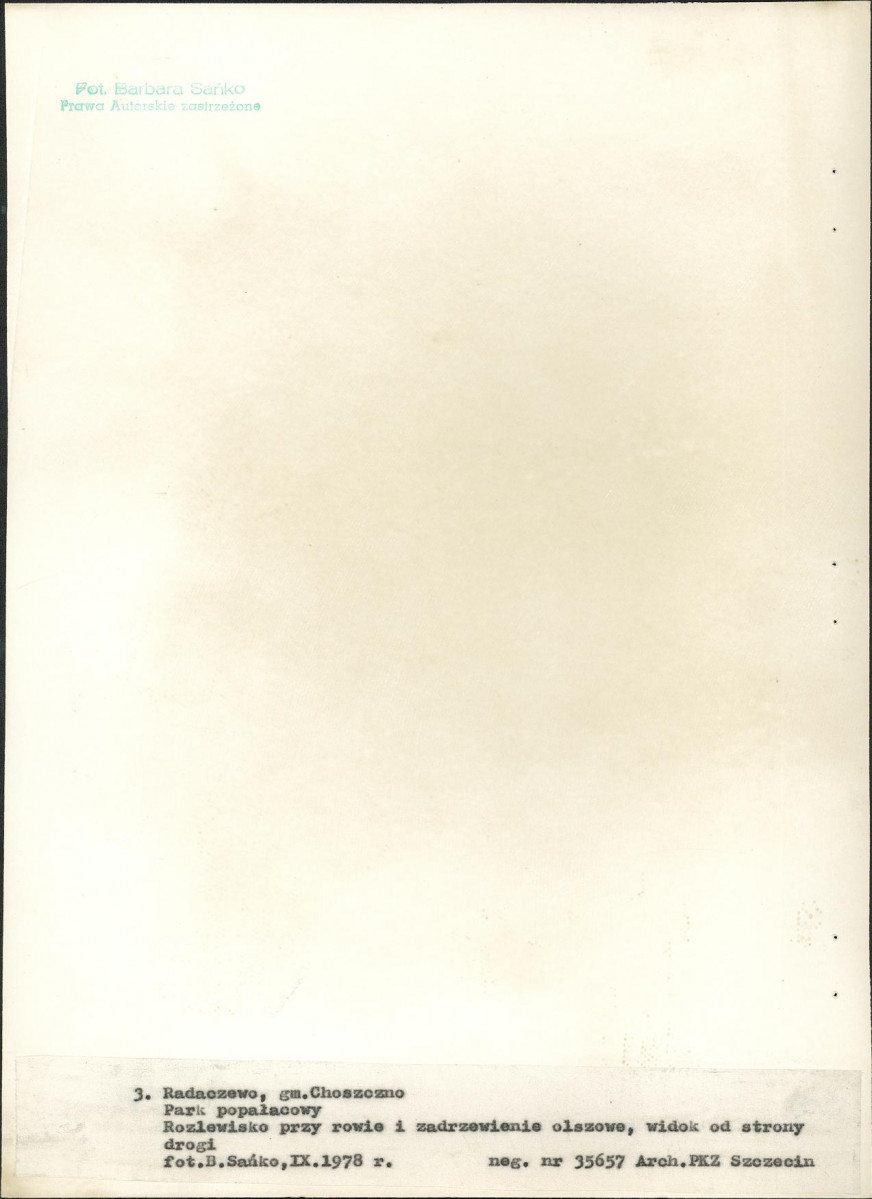 Ewidencja parkowa, skan nr 27