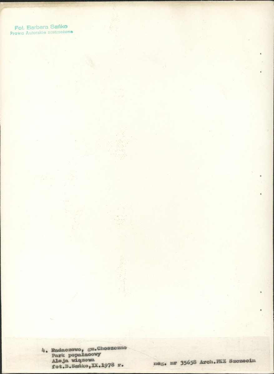 Ewidencja parkowa, skan nr 29
