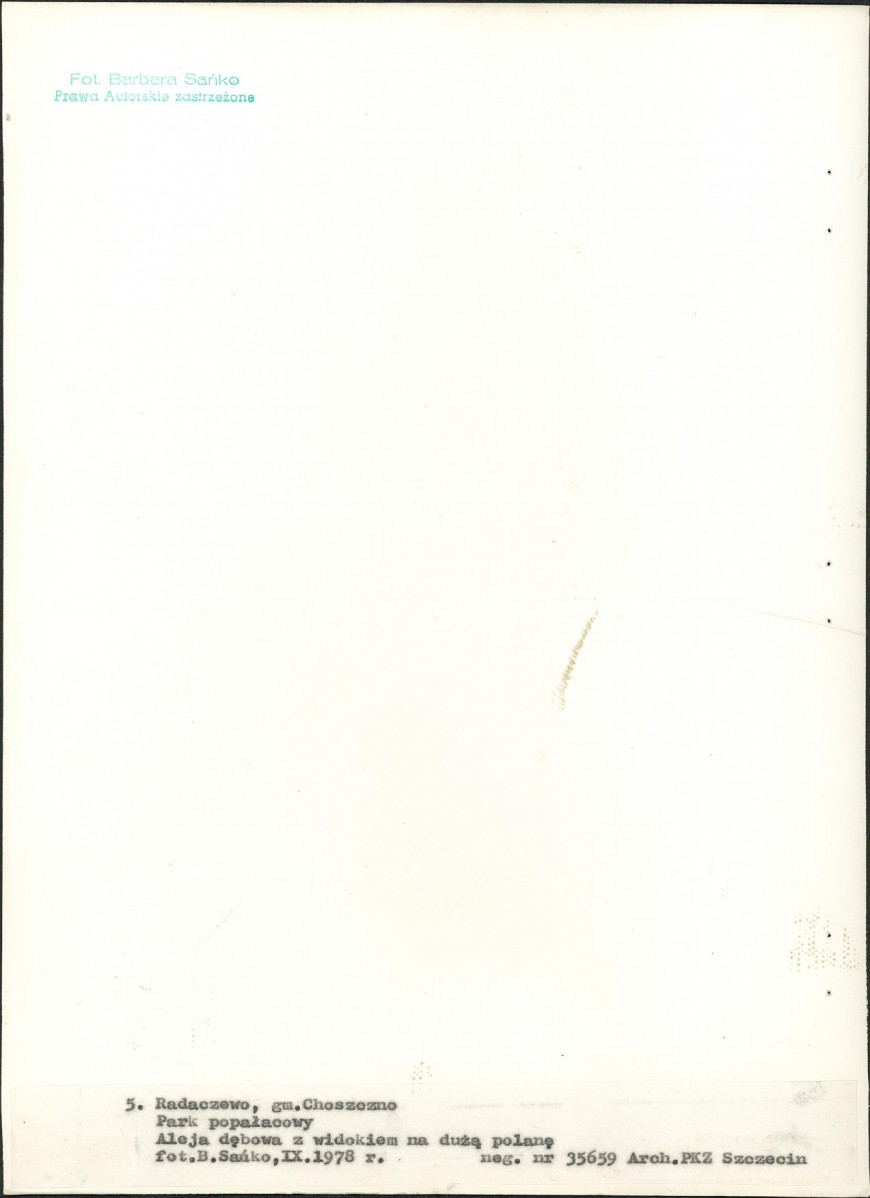 Ewidencja parkowa, skan nr 31