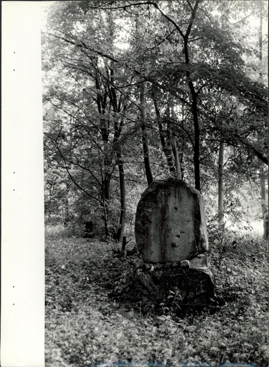 Ewidencja parkowa, skan nr 36