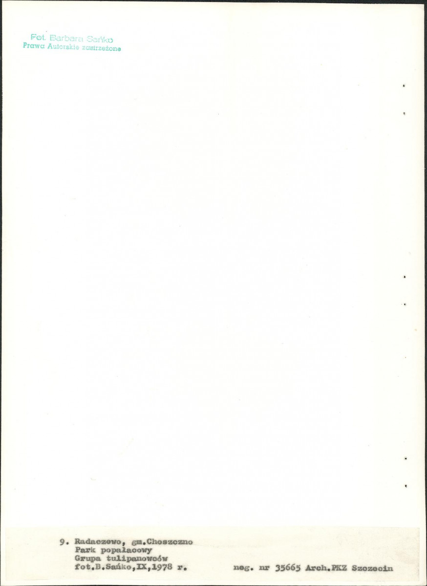 Ewidencja parkowa, skan nr 39