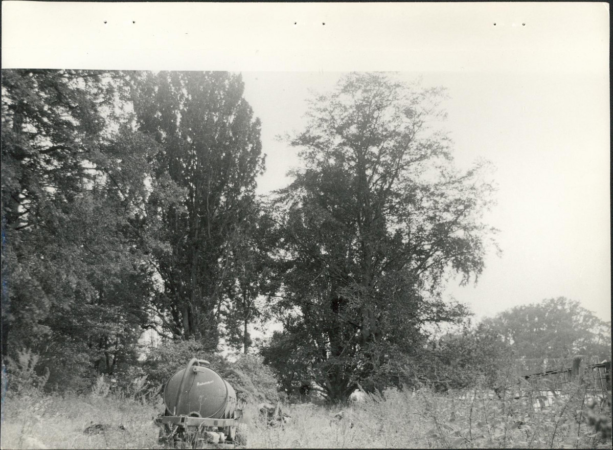 Ewidencja parkowa, skan nr 40