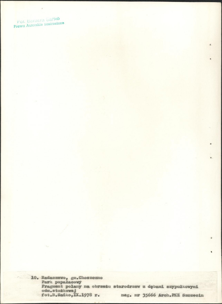 Ewidencja parkowa, skan nr 41