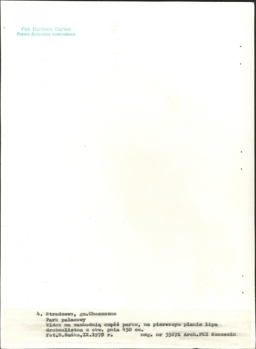 Ewidencja parkowa, skan nr 25