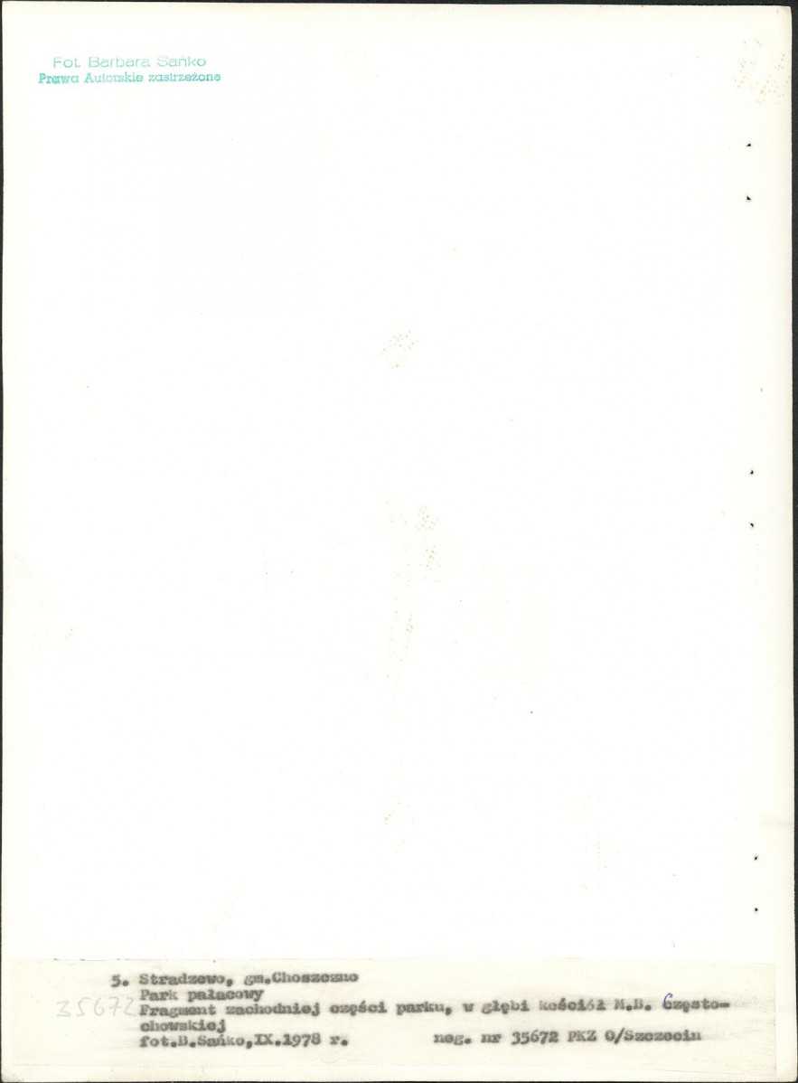 Ewidencja parkowa, skan nr 27