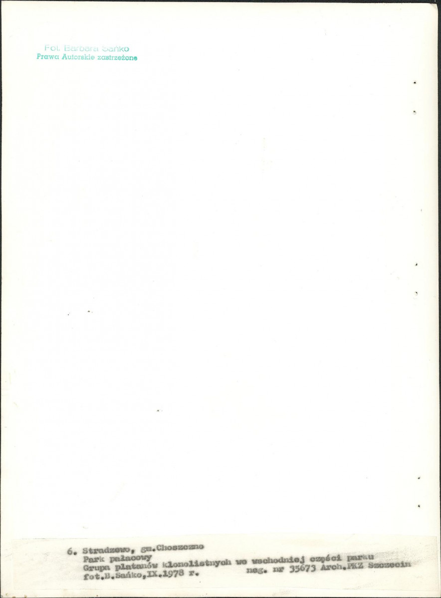 Ewidencja parkowa, skan nr 29
