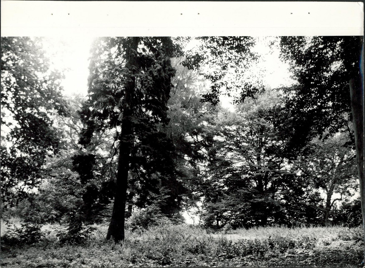 Ewidencja parkowa, skan nr 30