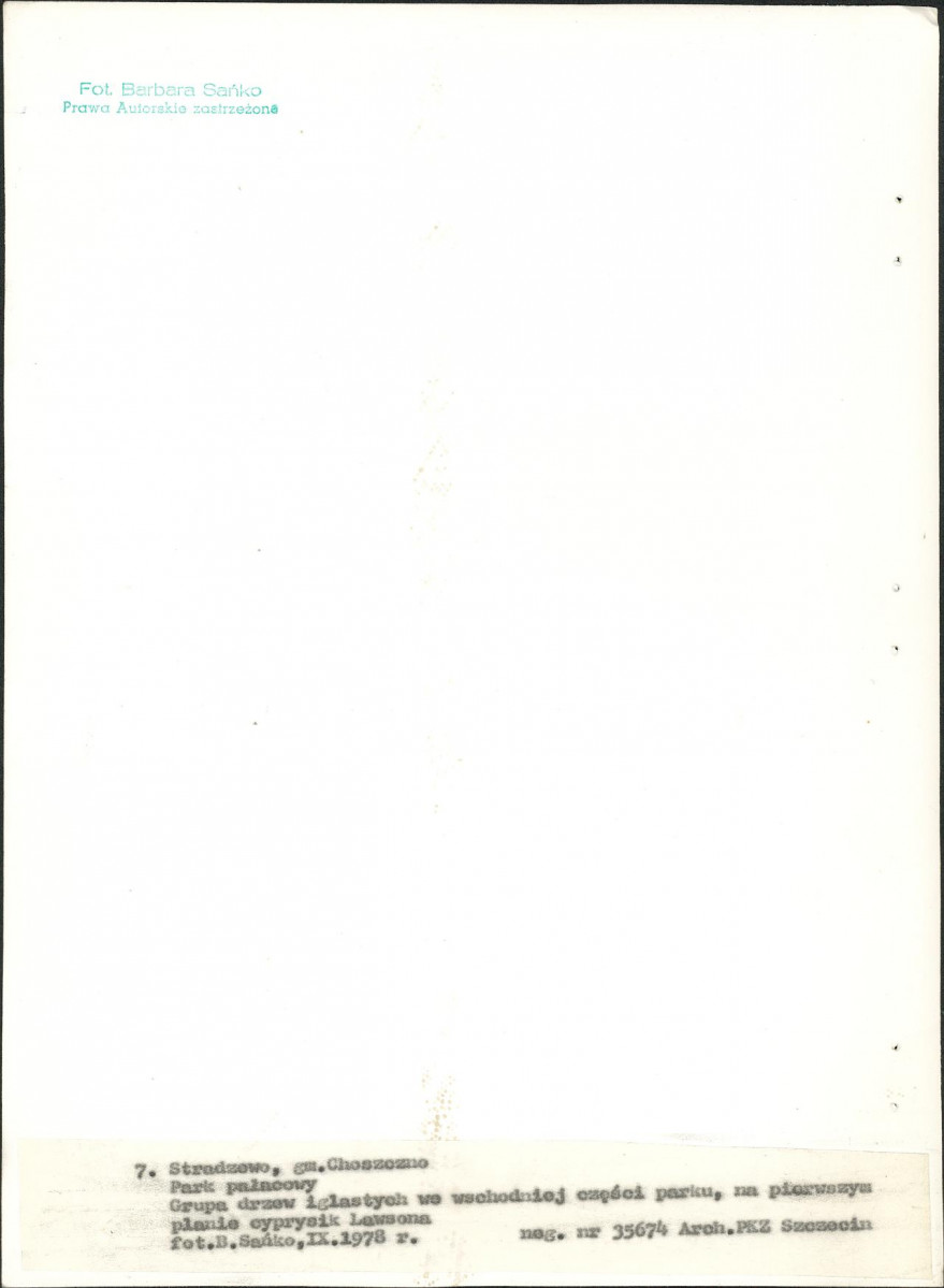 Ewidencja parkowa, skan nr 31