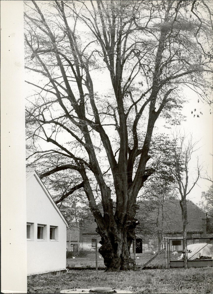 Ewidencja parkowa, skan nr 26