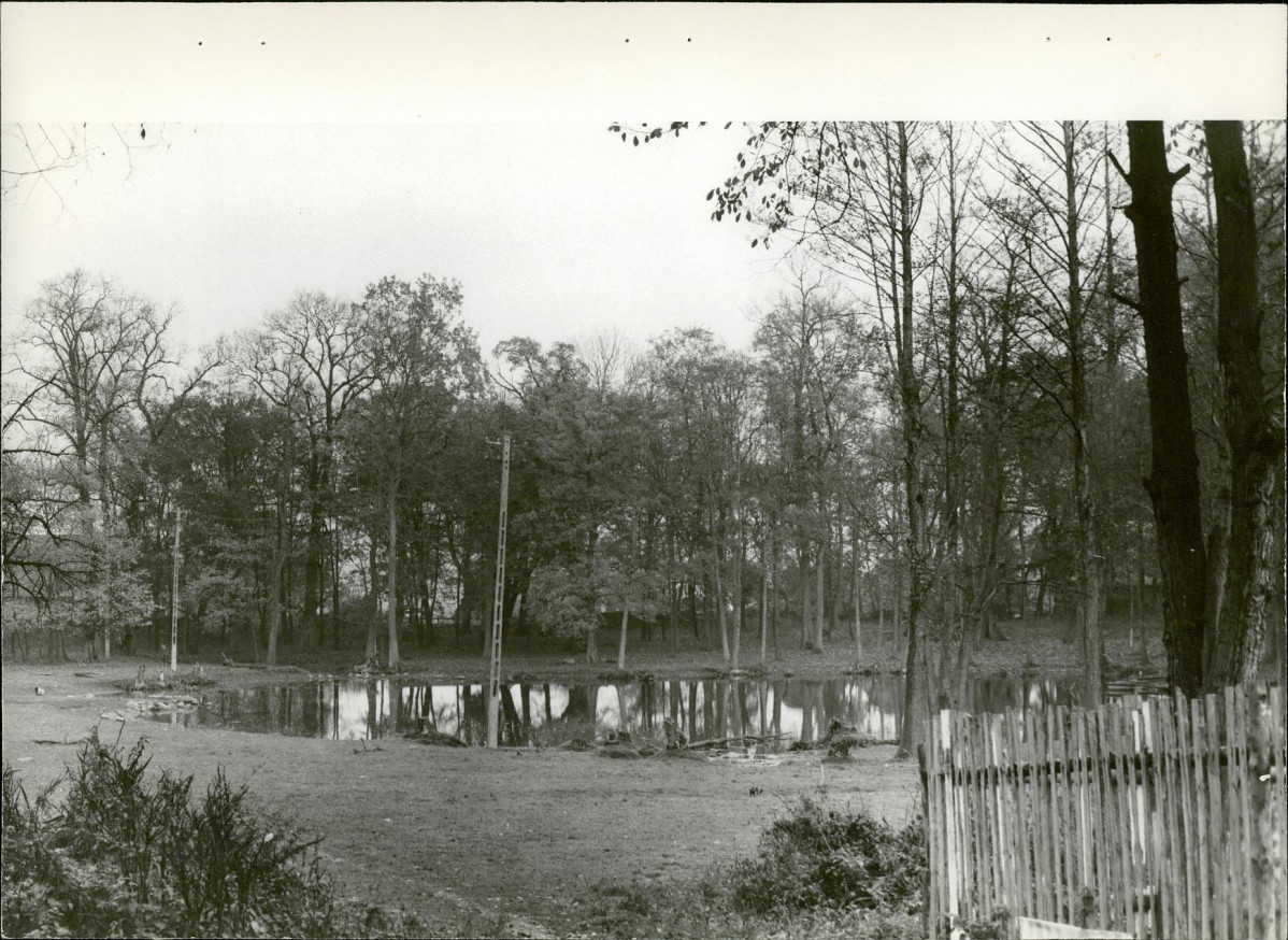 Ewidencja parkowa, skan nr 30