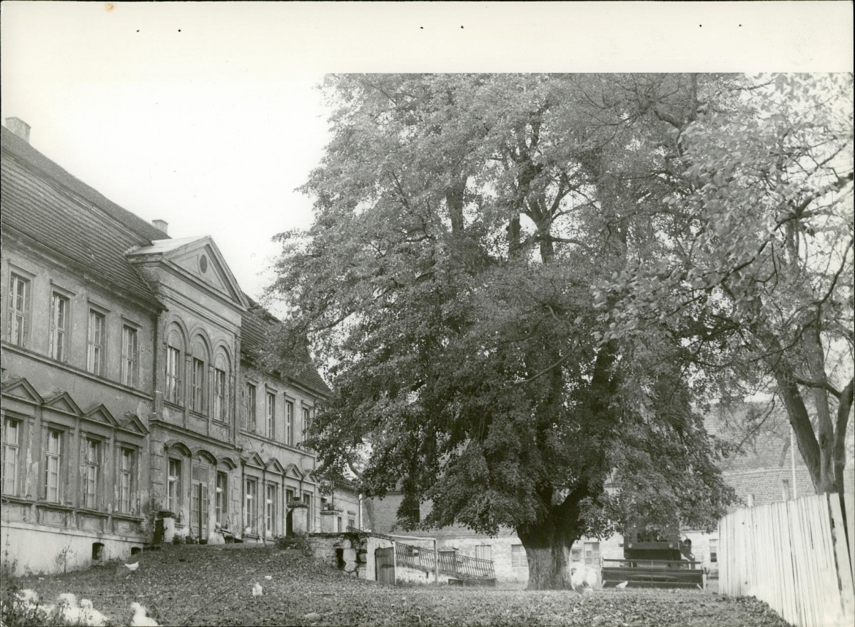 Ewidencja parkowa, skan nr 38