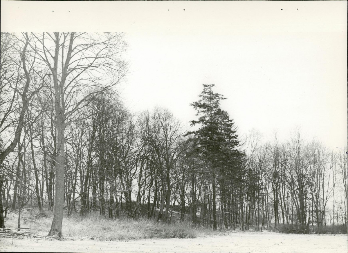 Ewidencja parkowa, skan nr 42