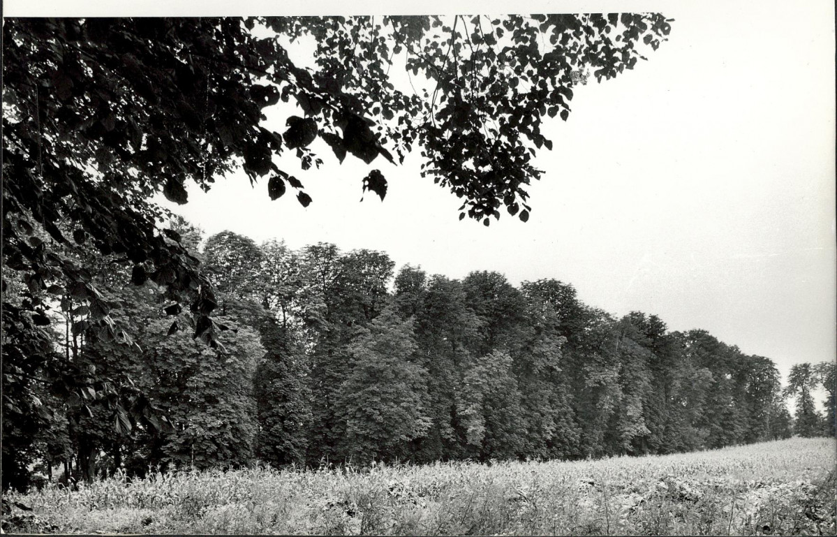 Ewidencja parkowa, skan nr 23