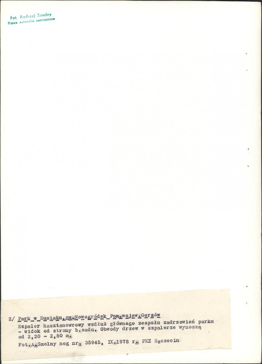 Ewidencja parkowa, skan nr 24