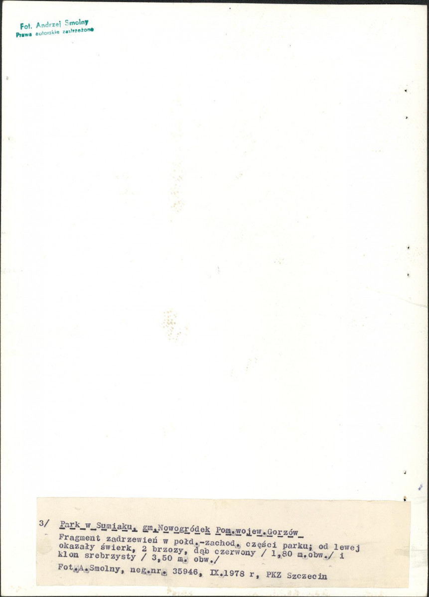 Ewidencja parkowa, skan nr 26