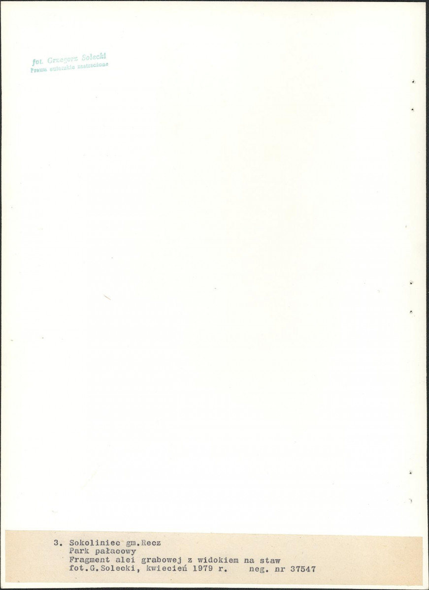 Ewidencja parkowa, skan nr 24