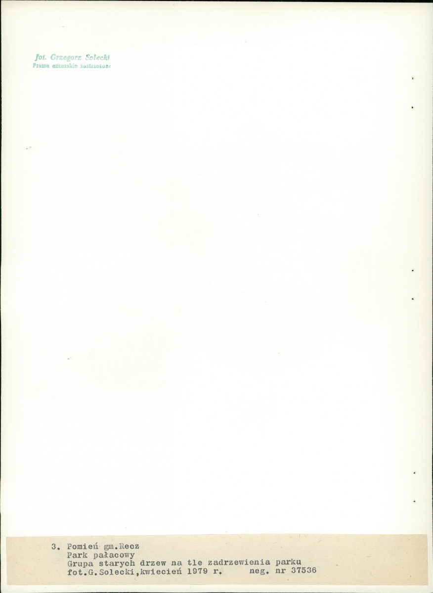 Ewidencja parkowa, skan nr 25