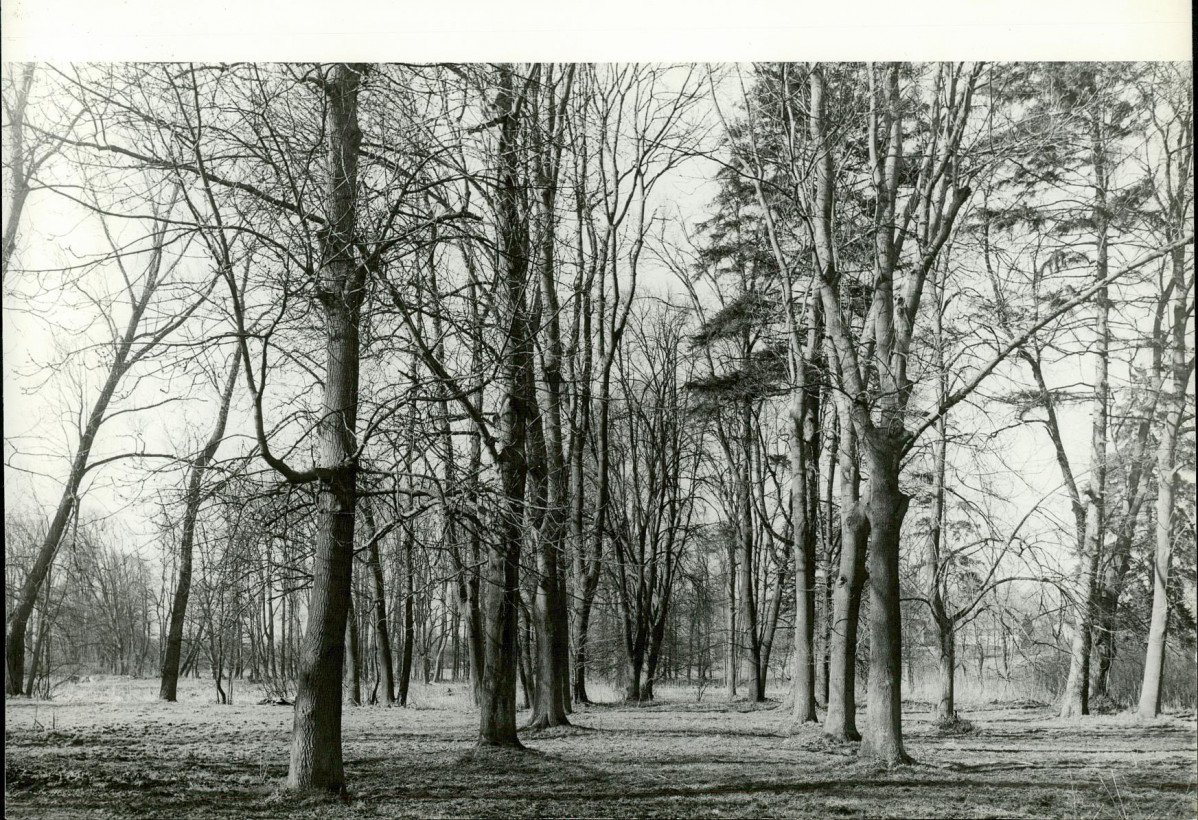 Ewidencja parkowa, skan nr 26
