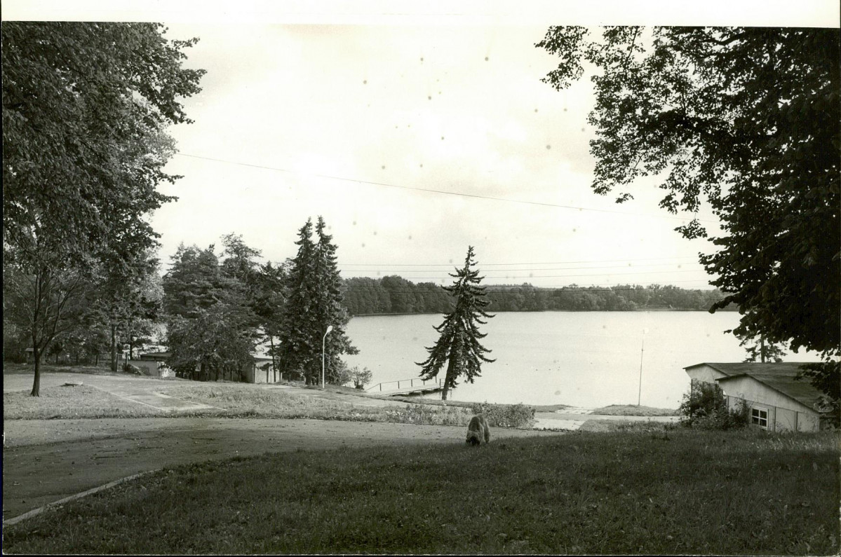 Ewidencja parkowa, skan nr 26