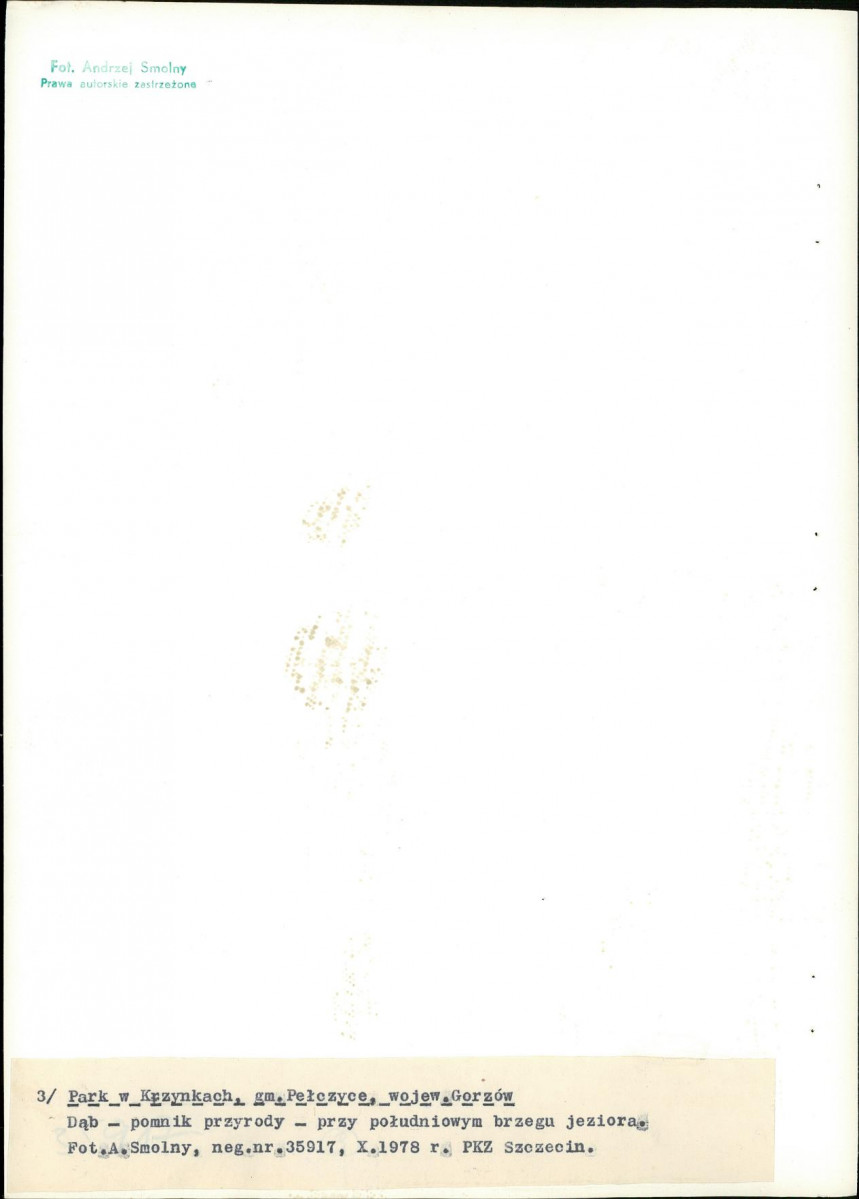 Ewidencja parkowa, skan nr 31