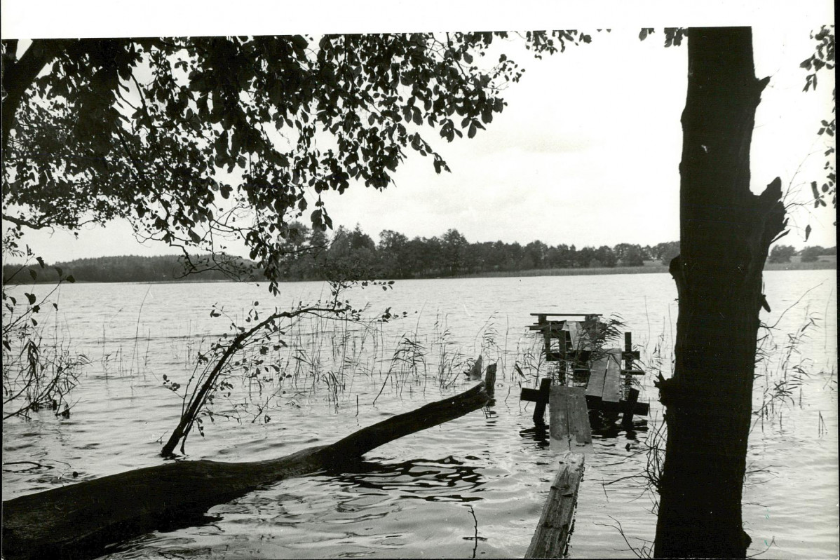 Ewidencja parkowa, skan nr 38