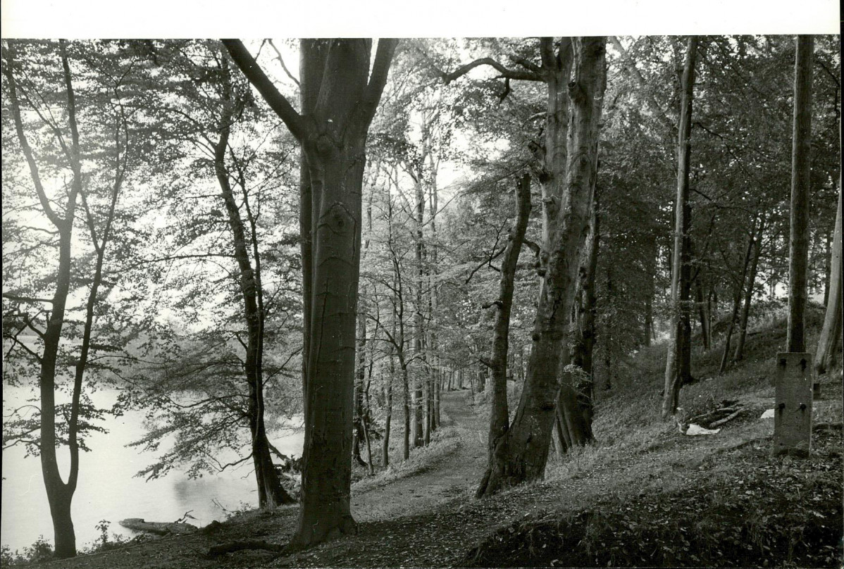 Ewidencja parkowa, skan nr 42