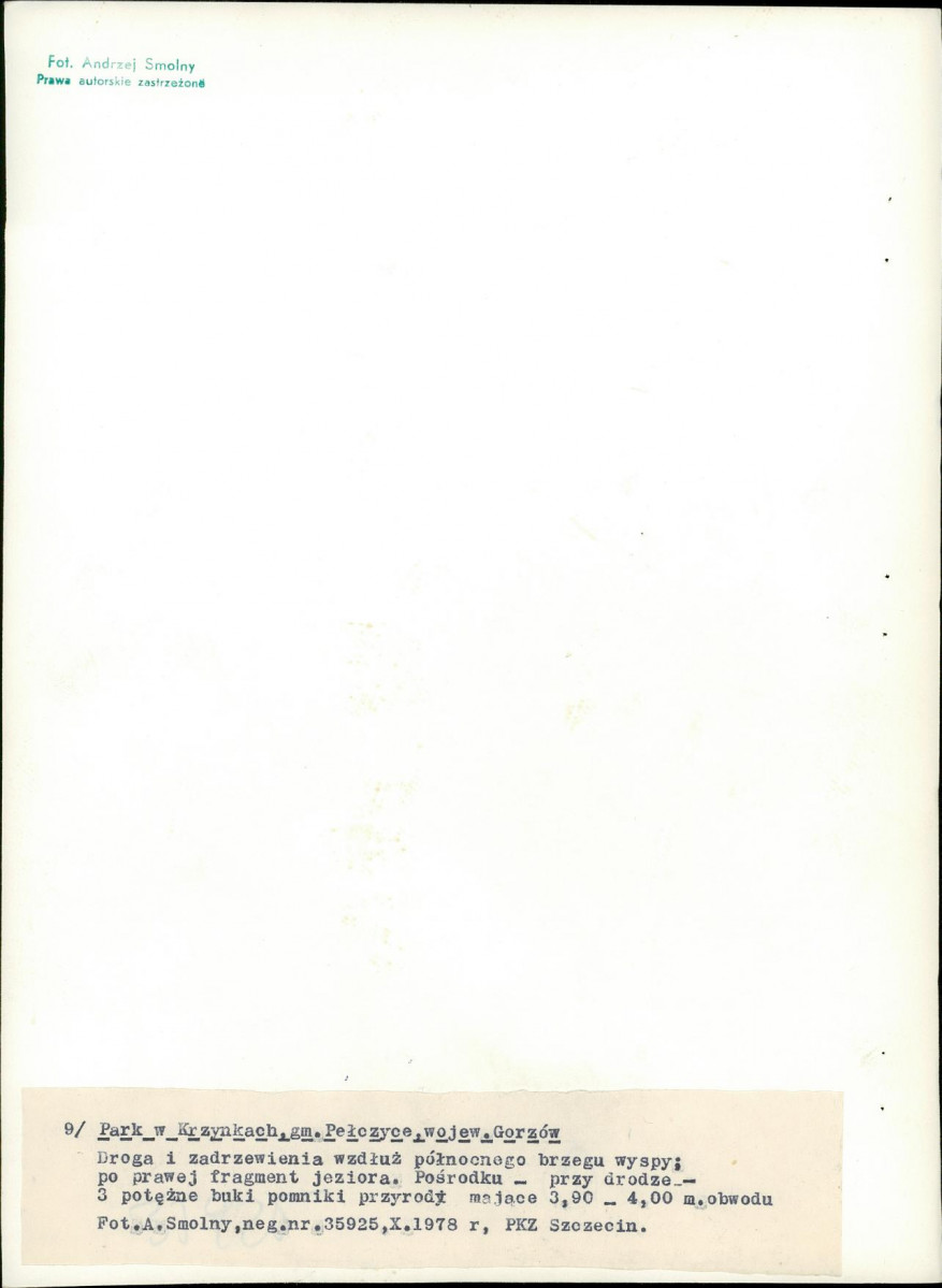 Ewidencja parkowa, skan nr 43