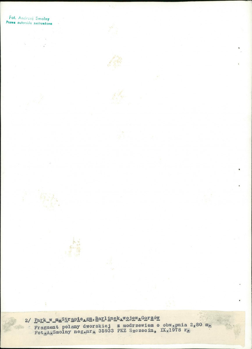 Ewidencja parkowa, skan nr 26