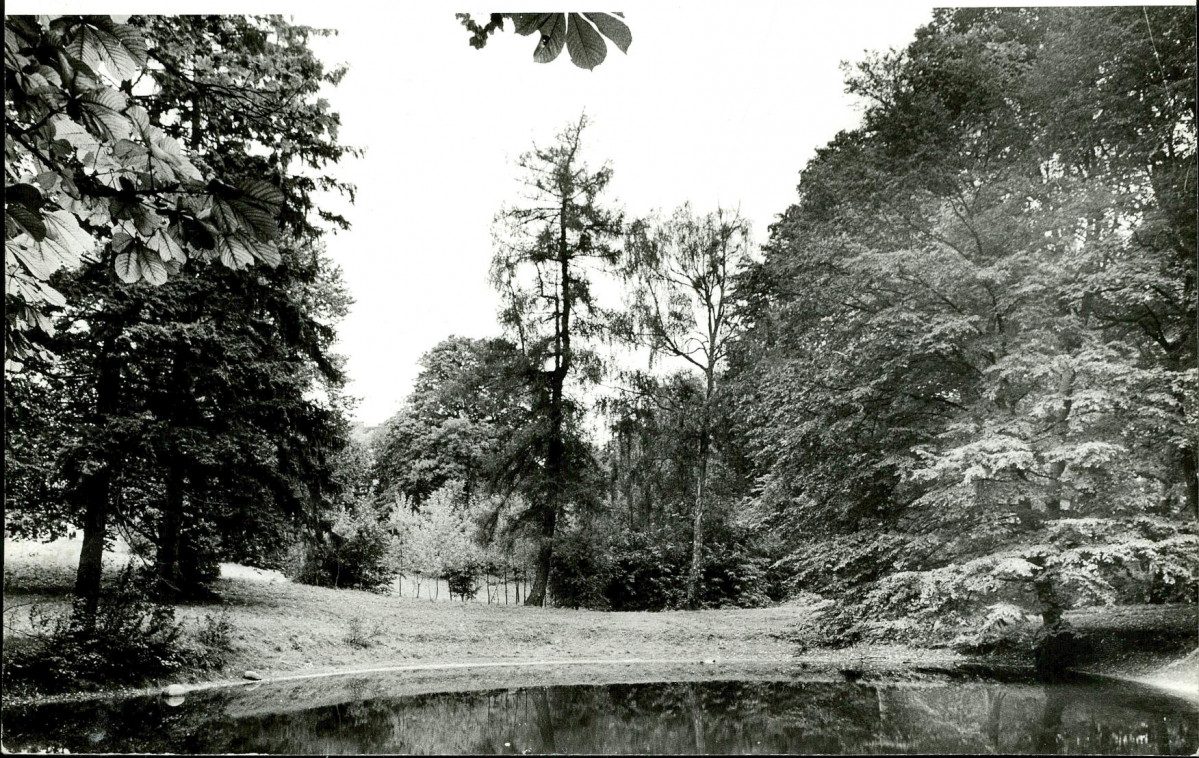 Ewidencja parkowa, skan nr 27