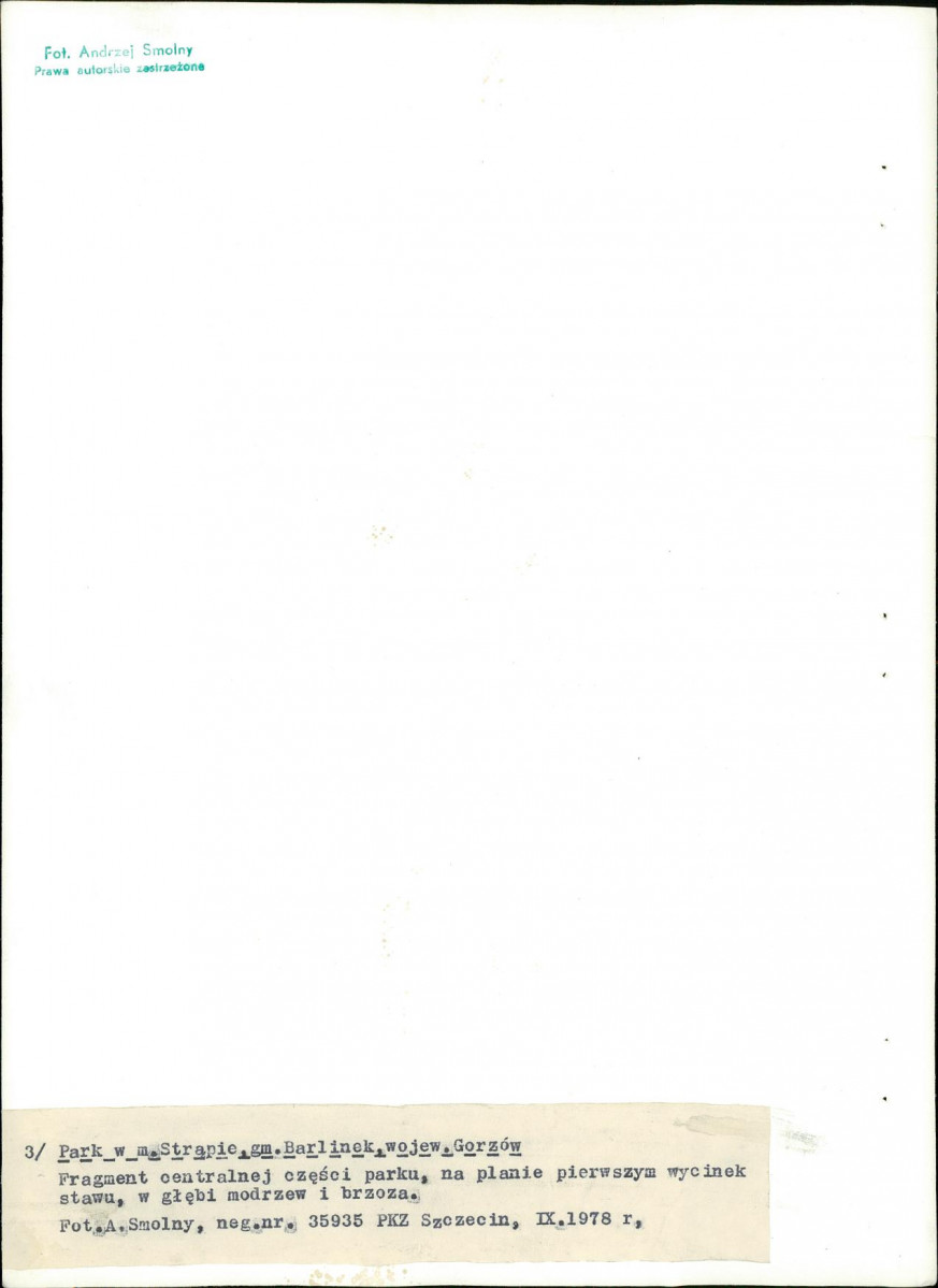 Ewidencja parkowa, skan nr 28