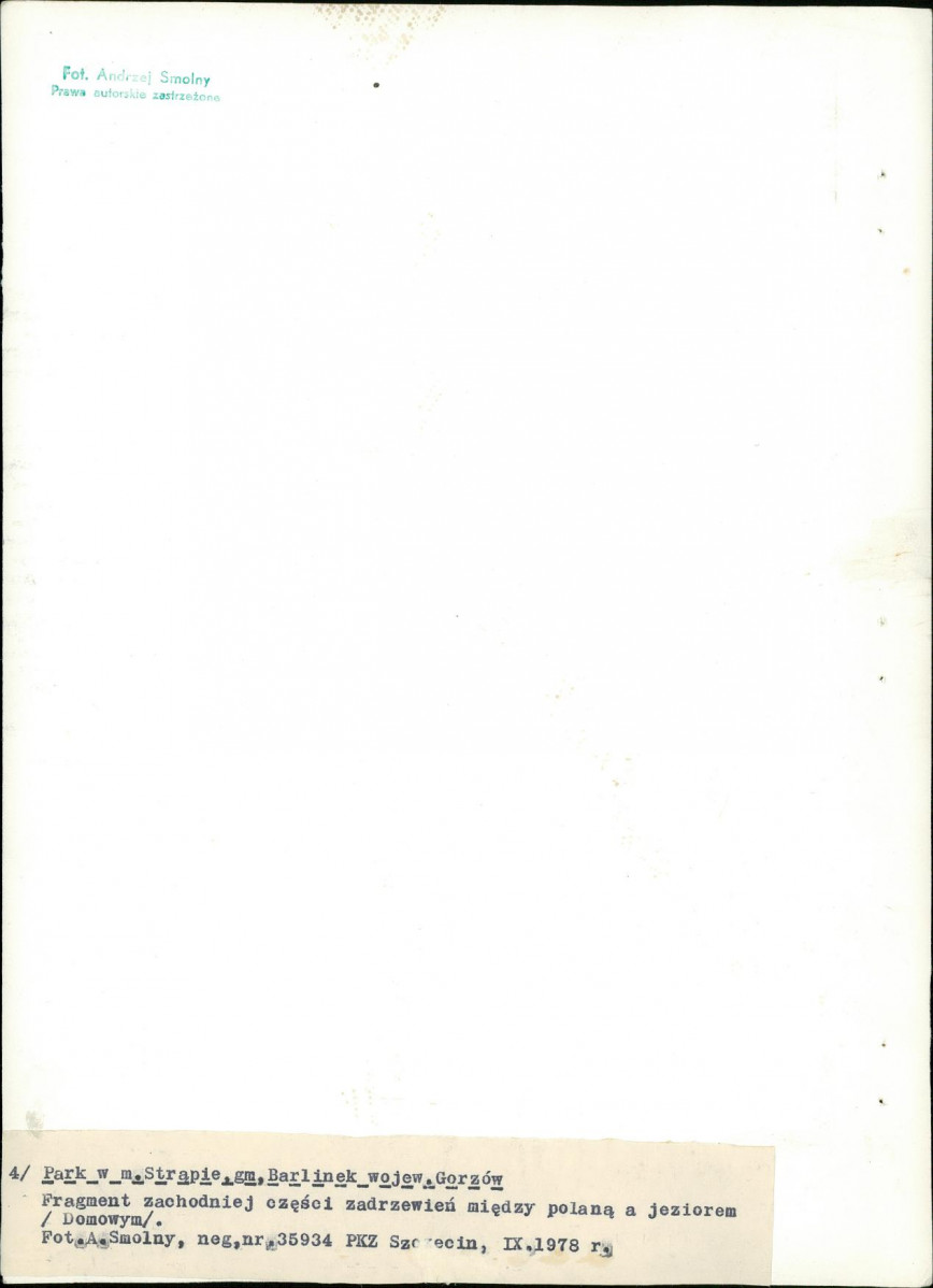 Ewidencja parkowa, skan nr 30