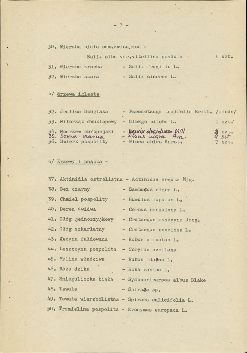 Ewidencja parkowa, skan nr 13