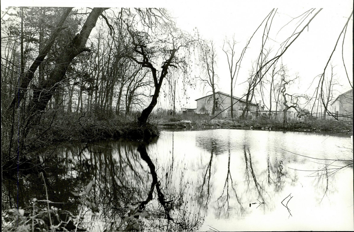 Ewidencja parkowa, skan nr 22