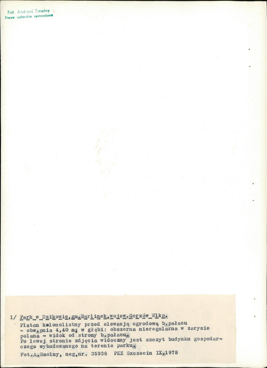 EP - Ewidencja parkowa, skan nr 28