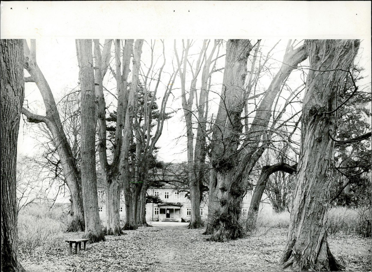 Ewidencja parkowa, skan nr 19