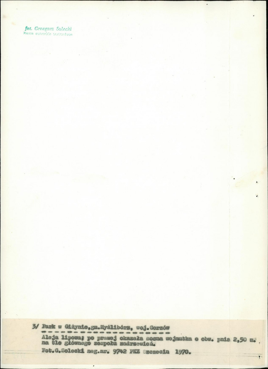 Ewidencja parkowa, skan nr 22