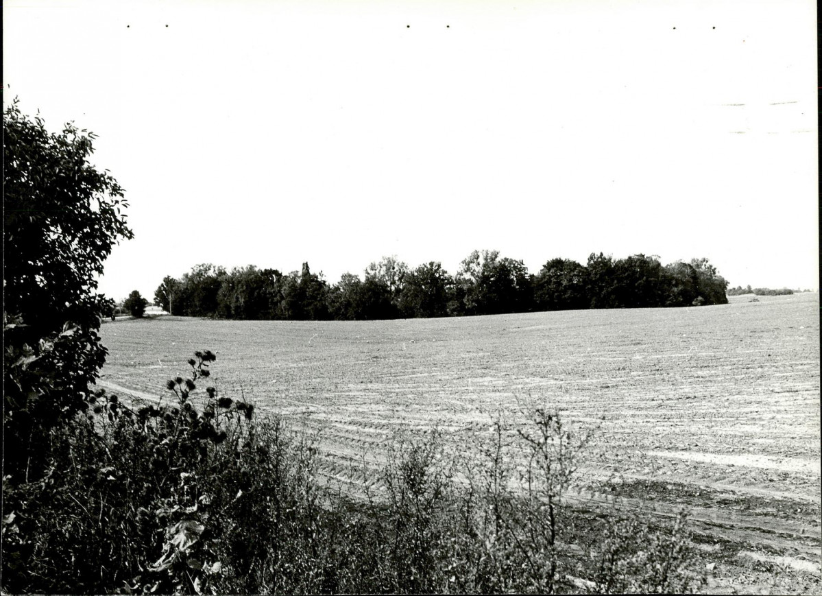 Ewidencja parkowa, skan nr 23