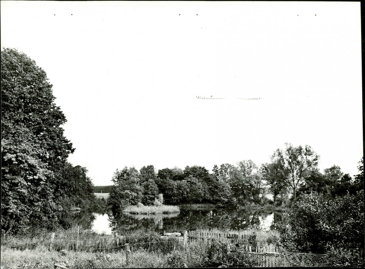Ewidencja parkowa, skan nr 27
