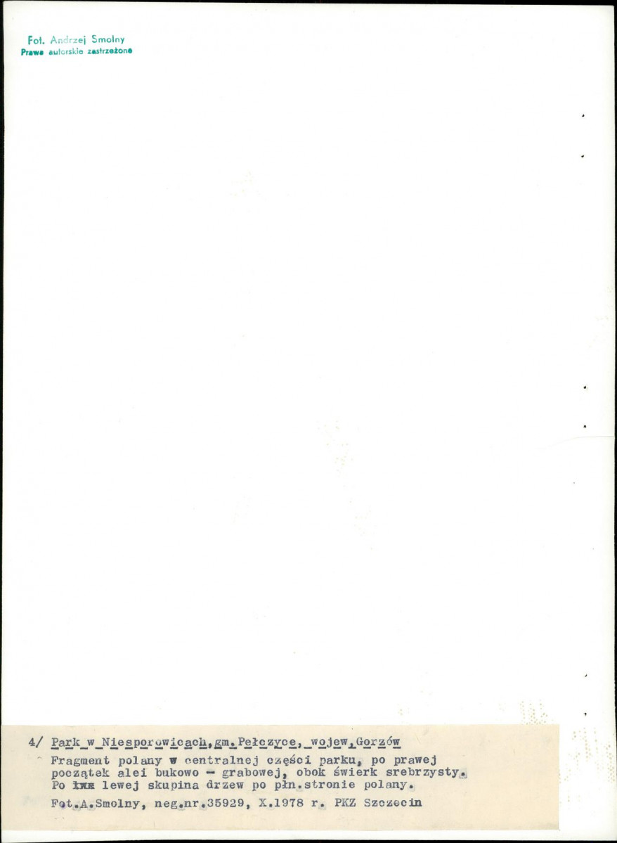 Ewidencja parkowa, skan nr 30