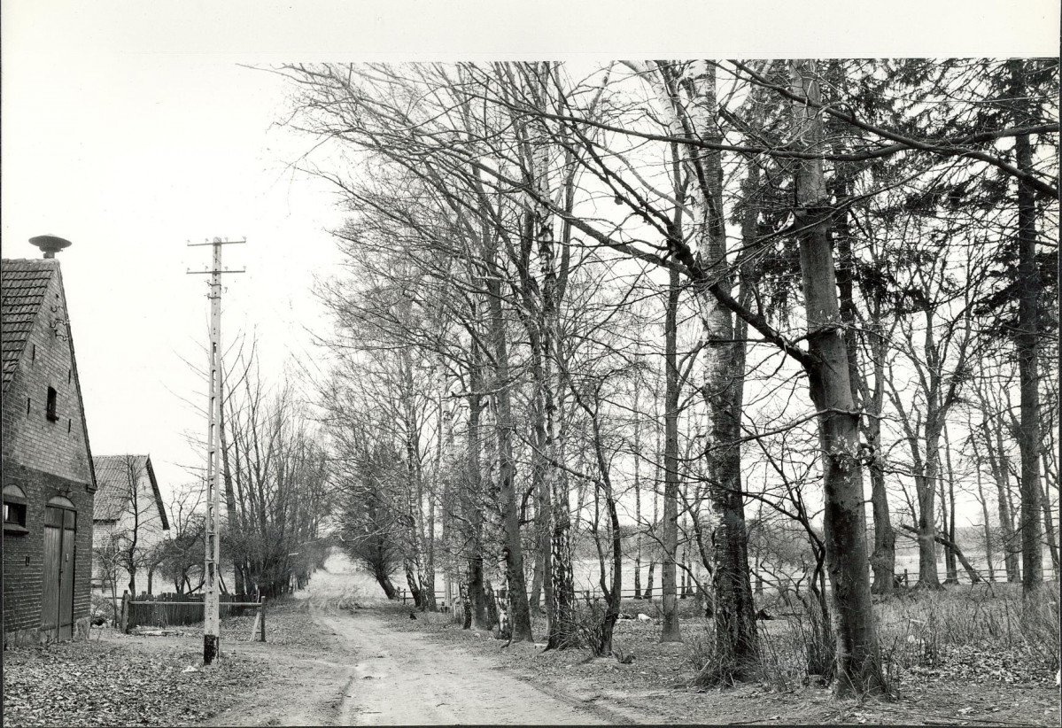 Ewidencja parkowa, skan nr 21