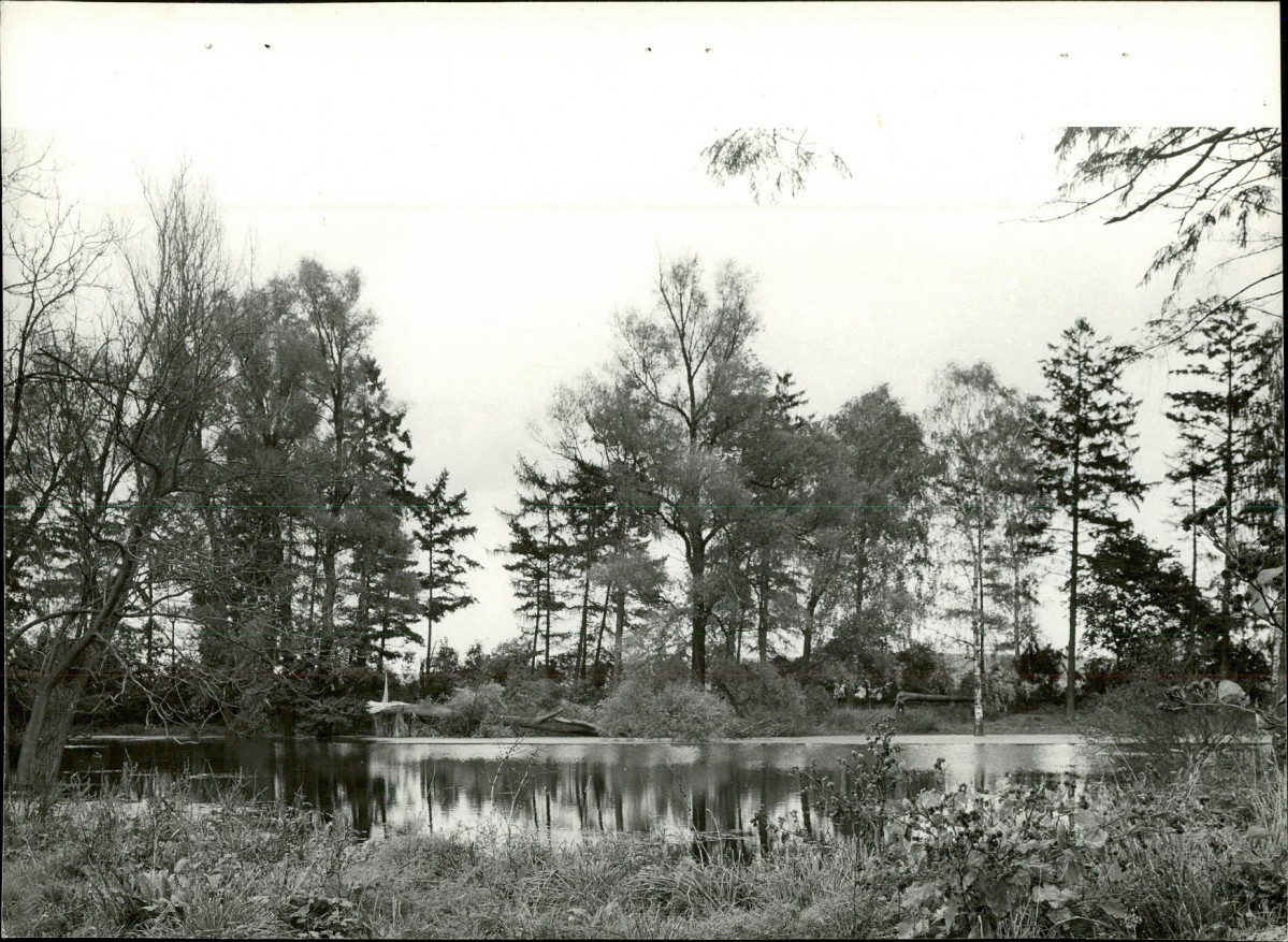Ewidencja parkowa, skan nr 33