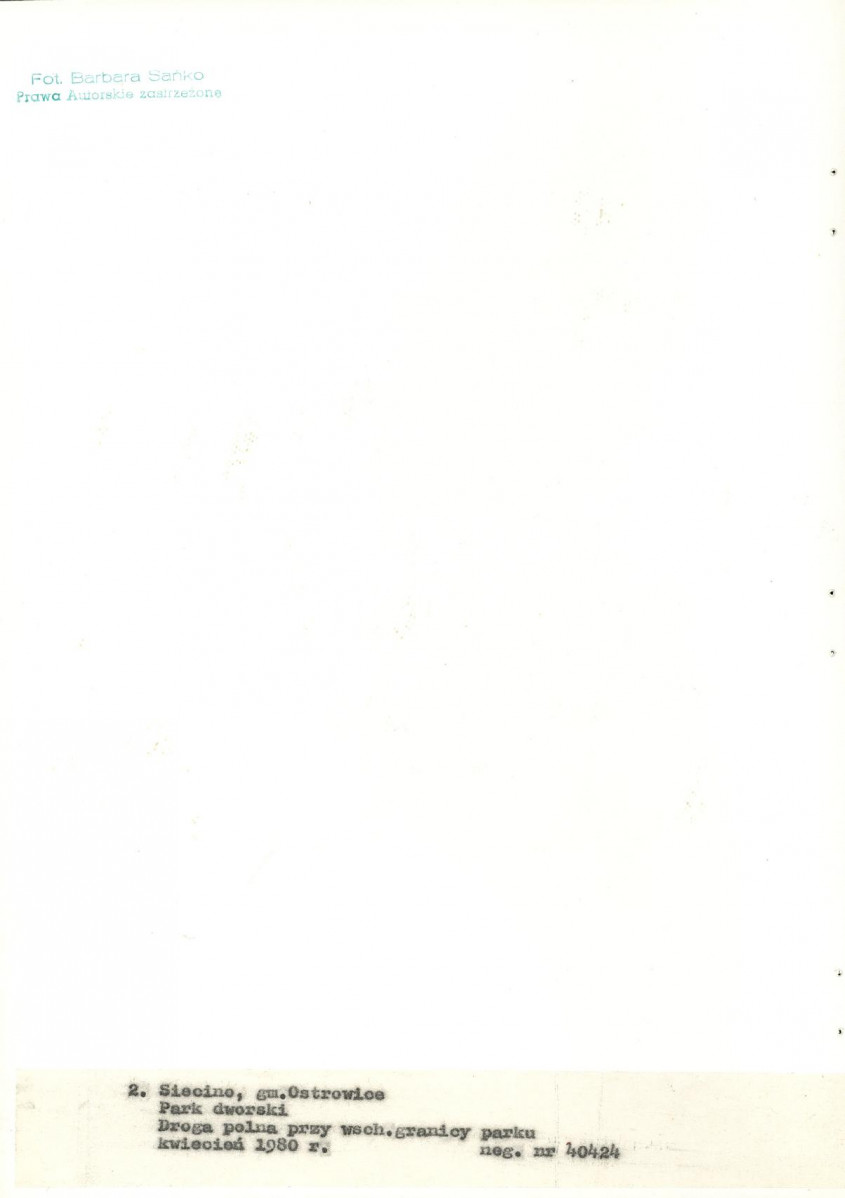 Ewidencja parkowa, skan nr 22